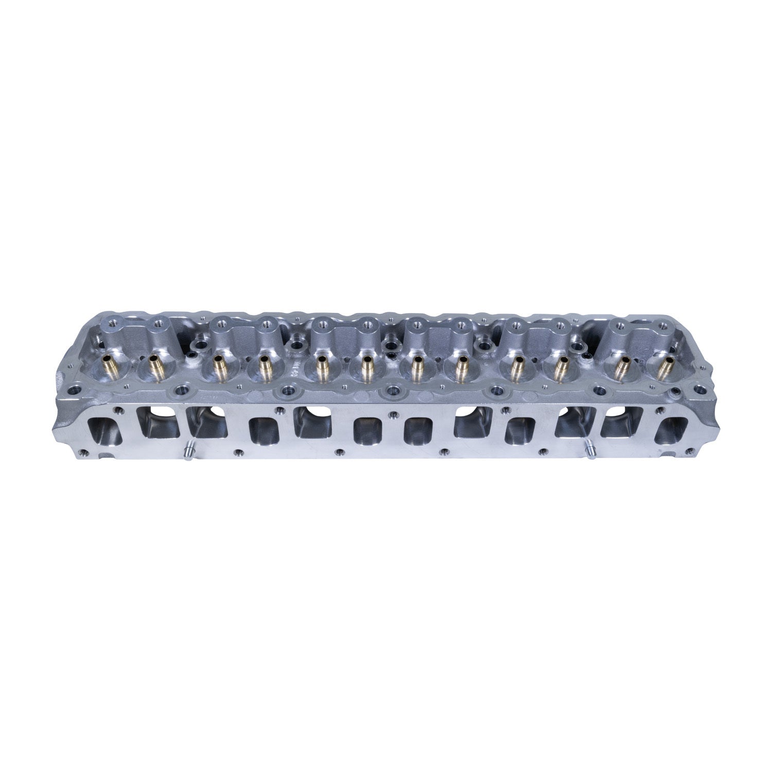 EDE50149.jpg
