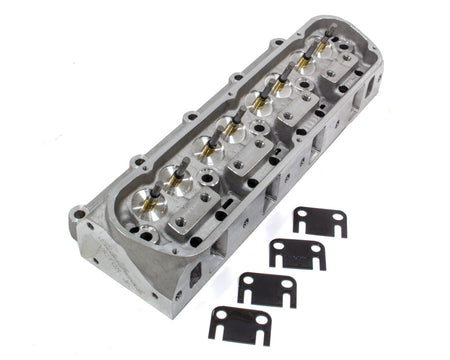 EDE77179.jpg