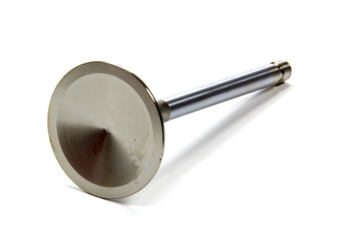 EDE9764.jpg