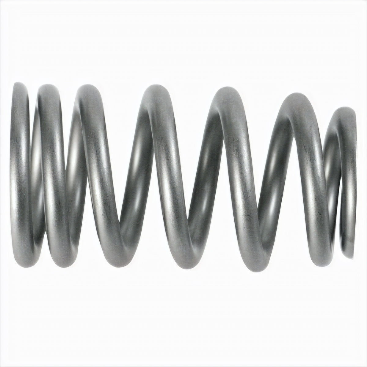 M-6513-1219X.jpg