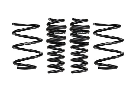 eibach-e102030040122-ct5-blackwing-1.jpg