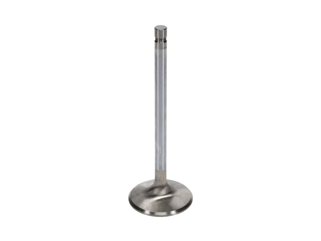 11745-FRO_2000x2000.jpg