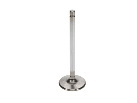 11563-FRO_2000x2000.jpg